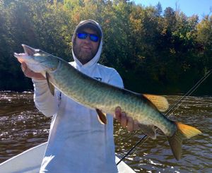 Muskellunge in St. Croix River, MN